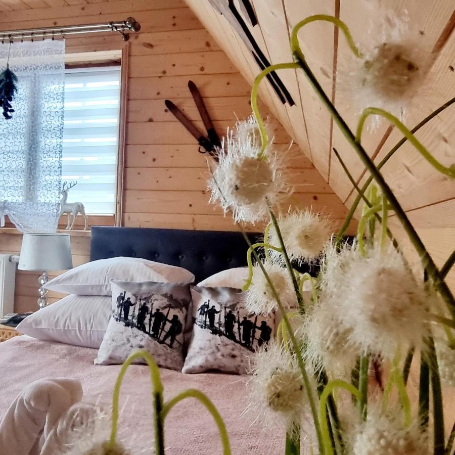 Domek Z Widokiem Zakopane Ngoại thất bức ảnh