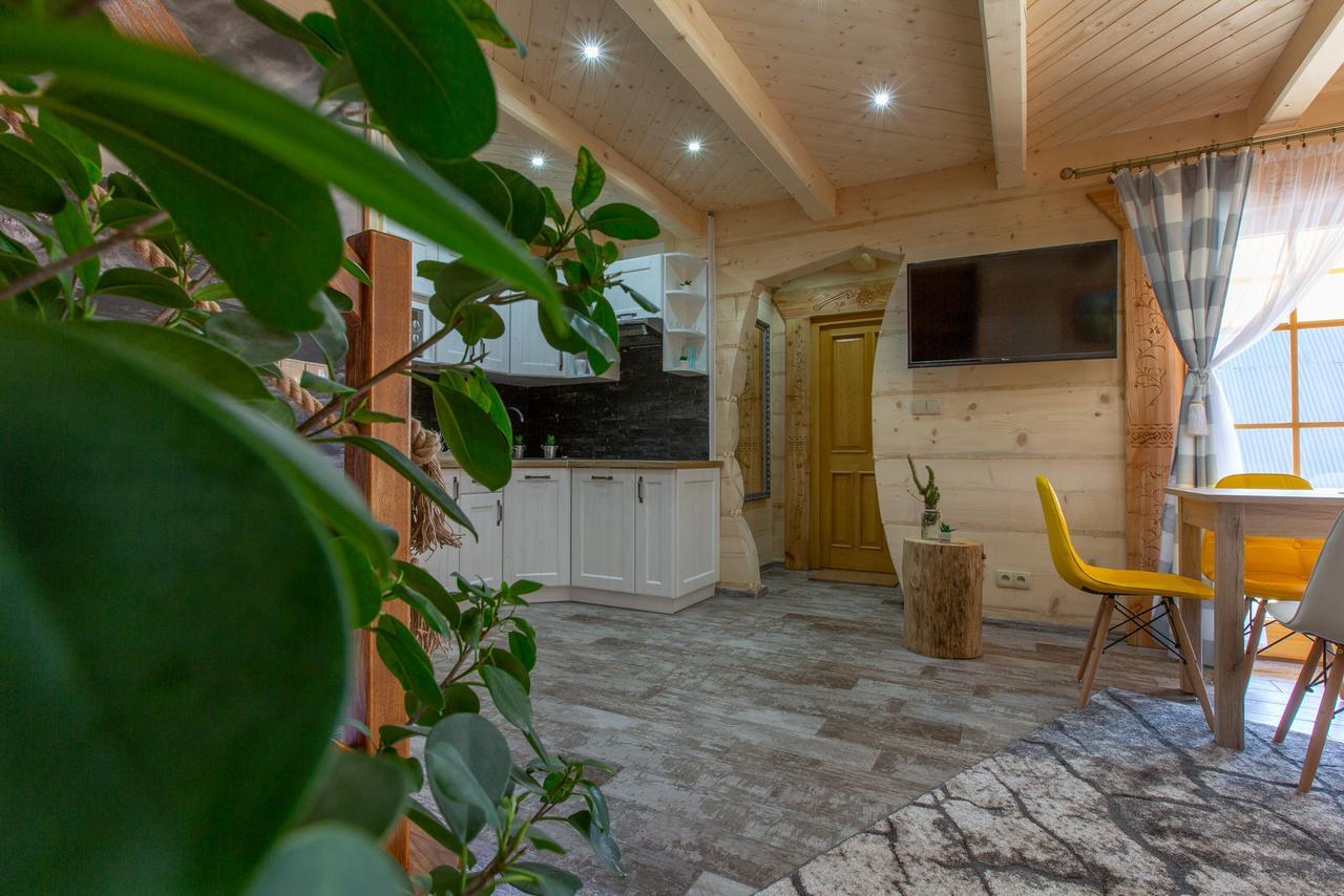 Domek Z Widokiem Zakopane Ngoại thất bức ảnh